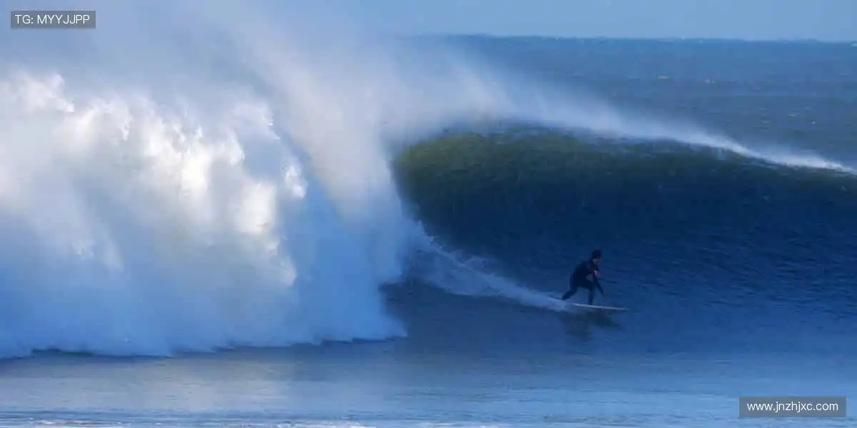🏃 热血赛场，见证每一刻突破！